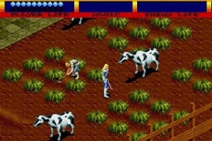 Light Crusader Screenshot