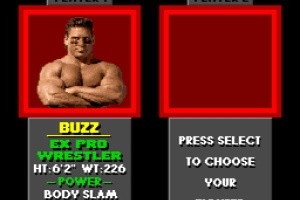 Pit Fighter Screenshot