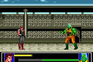 Last Battle: Legend Of The Final Hero Screenshot