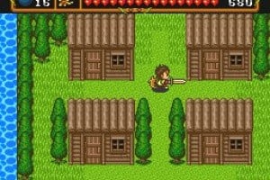 Neutopia II Screenshot