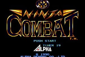 Ninja Combat Screenshot