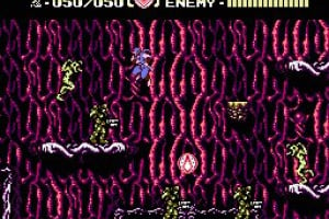 Ninja Gaiden III: The Ancient Ship of Doom Screenshot
