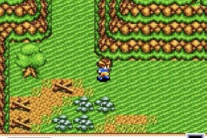 Sylvan Tale Screenshot