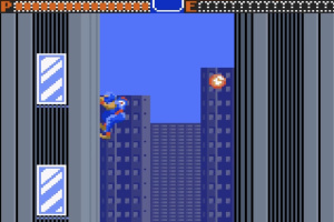 Ninja Gaiden Screenshot