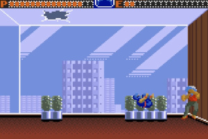 Ninja Gaiden Screenshot