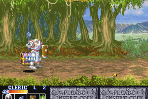 The King of Dragons Screenshot