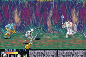 The King of Dragons Screenshot