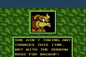 Battletoads & Double Dragon Screenshot