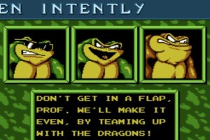 Battletoads & Double Dragon Screenshot