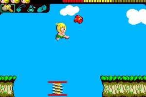 Wonder Boy Screenshot