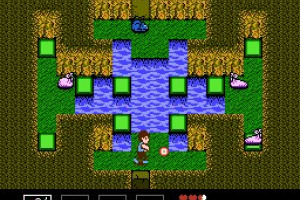 StarTropics Screenshot