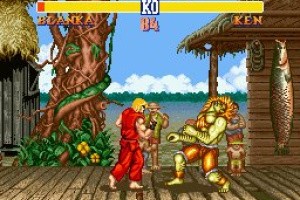 Street Fighter II: The World Warrior Screenshot