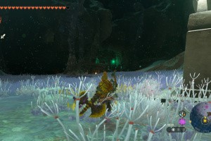 The Legend of Zelda: Tears of the Kingdom Screenshot