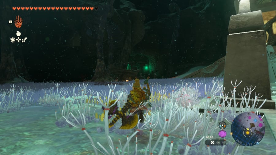 The Legend of Zelda: Tears of the Kingdom Review - Screenshot 6 of 7