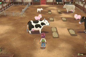 Story of Seasons: A Wonderful Life Screenshot
