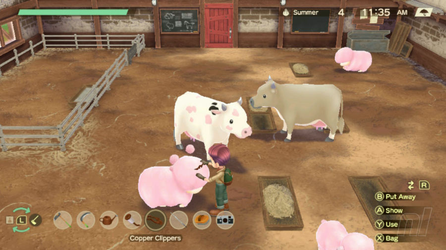 Revisão de Story of Seasons: A Wonderful Life - Captura de tela 2 de 6