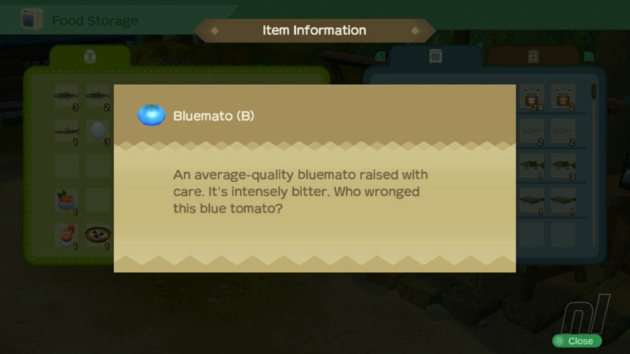 Story of Seasons: A Wonderful Life Review - Screenshot 2 of 5