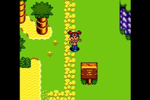 Xtreme Sports Screenshot