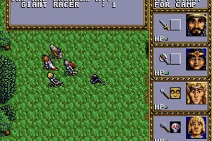 Dungeons & Dragons: Warriors of the Eternal Sun Screenshot