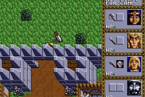 Dungeons & Dragons: Warriors of the Eternal Sun Screenshot