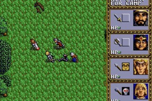 Dungeons & Dragons: Warriors of the Eternal Sun Screenshot