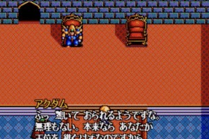 Dragon Slayer: The Legend of Heroes Screenshot