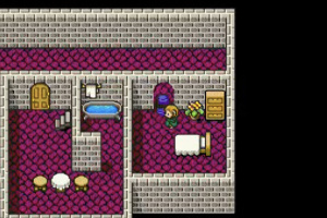 Dragon Quest V: Hand of the Heavenly Bride Screenshot