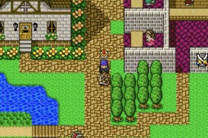 Dragon Quest V: Hand of the Heavenly Bride Screenshot