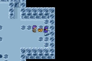 Dragon Quest V: Hand of the Heavenly Bride Screenshot