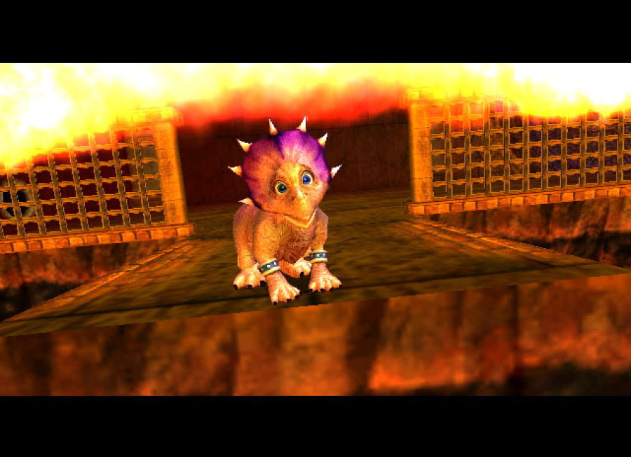 Star Fox Adventures Screenshot