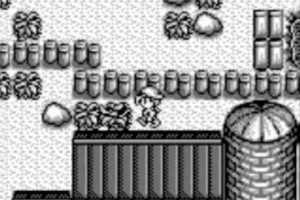 Harvest Moon GB Screenshot