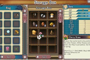 Rune Factory 3 Special Screenshot