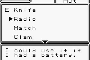 Survival Kids Screenshot