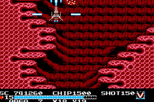 The Guardian Legend Screenshot