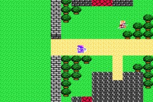 Dragon Warrior IV Screenshot