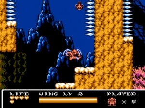 Gargoyle's Quest II: The Demon Darkness Review - Screenshot 3 of 3