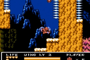 Gargoyle's Quest II: The Demon Darkness Screenshot