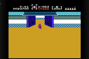 The Mysterious Murasame Castle Screenshot