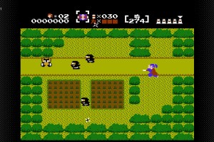 The Mysterious Murasame Castle Screenshot