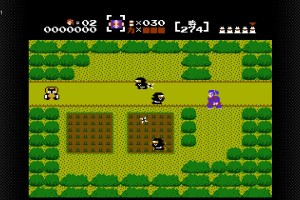 The Mysterious Murasame Castle Screenshot