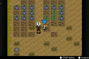 Harvest Moon 64 Screenshot