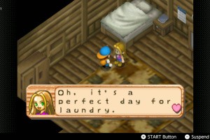 Harvest Moon 64 Screenshot