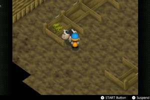 Harvest Moon 64 Screenshot
