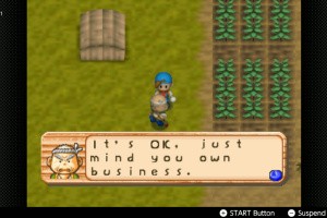 Harvest Moon 64 Screenshot