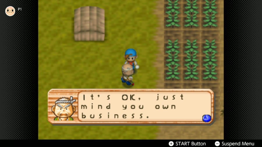 Revisión de Harvest Moon 64: captura de pantalla 1 de 