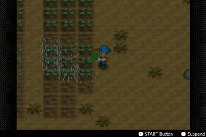 Harvest Moon 64 Screenshot