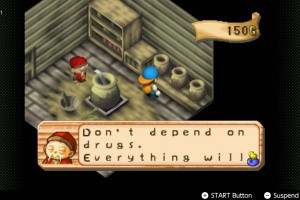 Harvest Moon 64 Screenshot