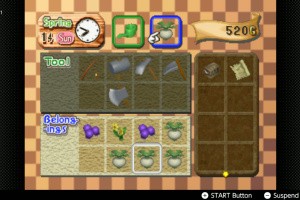 Harvest Moon 64 Screenshot