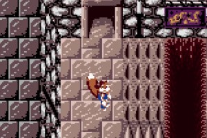 Conker's Pocket Tales Screenshot