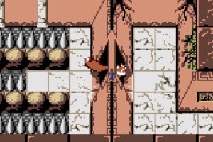 Conker's Pocket Tales Screenshot